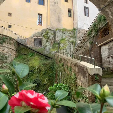 I Colori Nel Castello Capranica